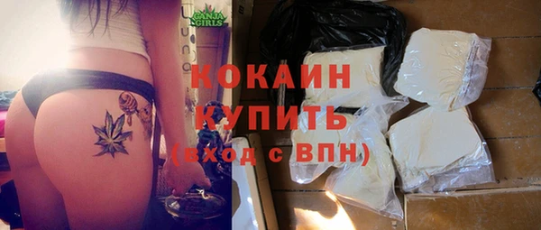 винт Няндома