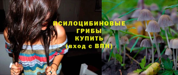 каннабис Белокуриха