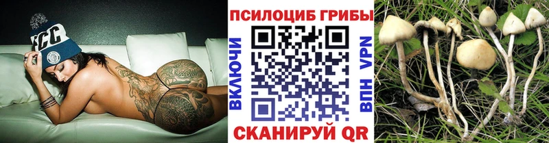 купить закладку  Электроугли  мориарти формула  Псилоцибиновые грибы MAGIC MUSHROOMS 
